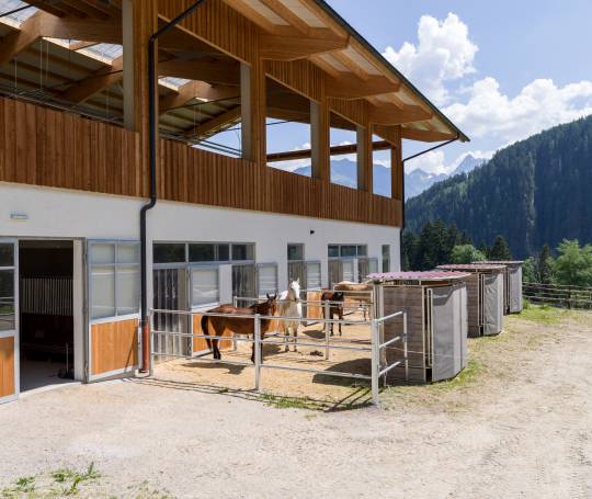Reithalle Pferdeboxen außen