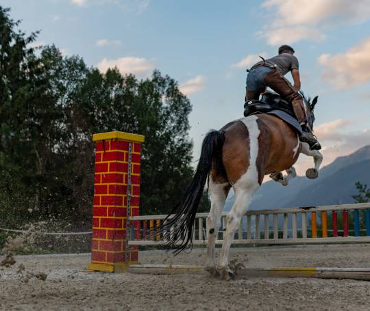 Pferd mit Reiter springt über Stange