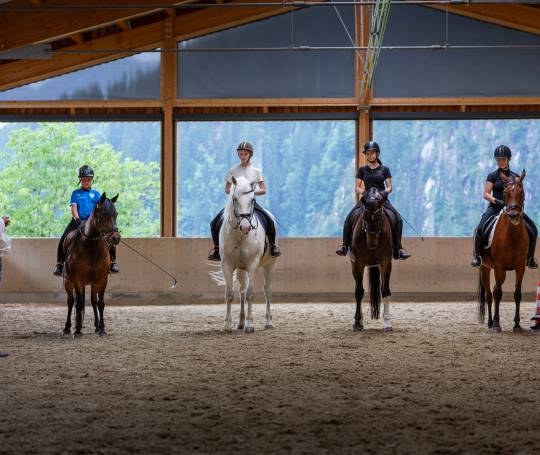 Reitstunde mit 4 Kindern