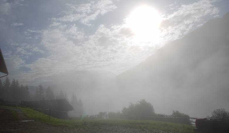 Nebel am Penkenberg