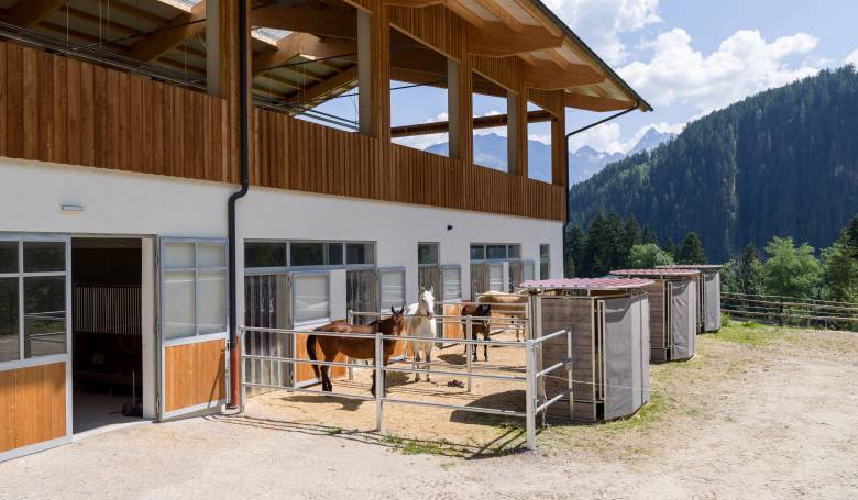 Reithalle Pferdeboxen außen