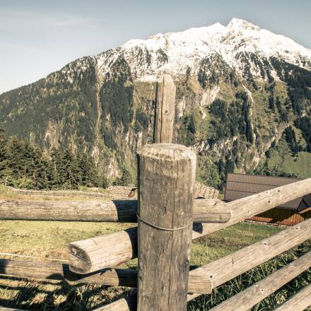 Bergwelt bei der GrasbergAlm in Finkenberg