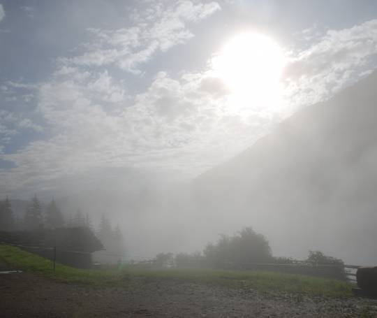 Nebel am Penkenberg