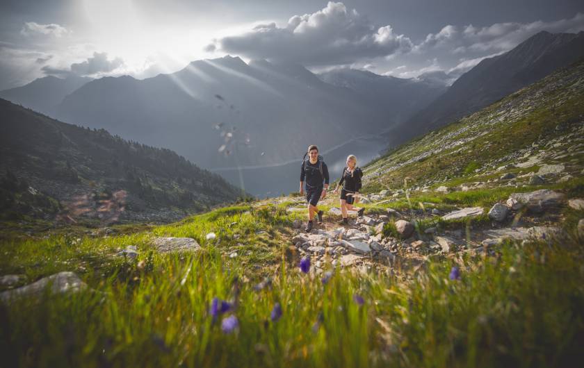 Wandern im Sommer bei der Olpererhuette im Zillertal