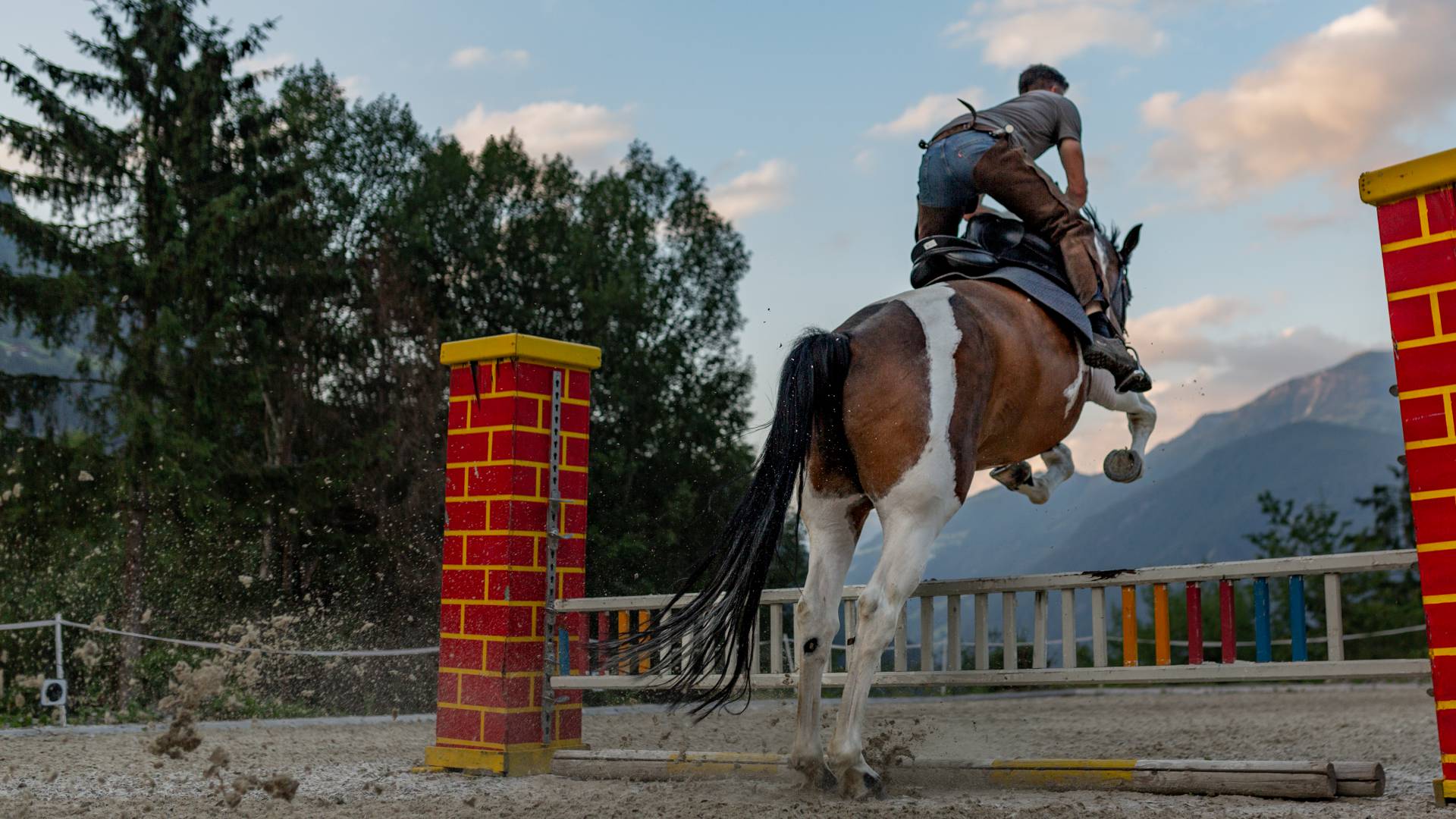 Pferd mit Reiter springt über Stange
