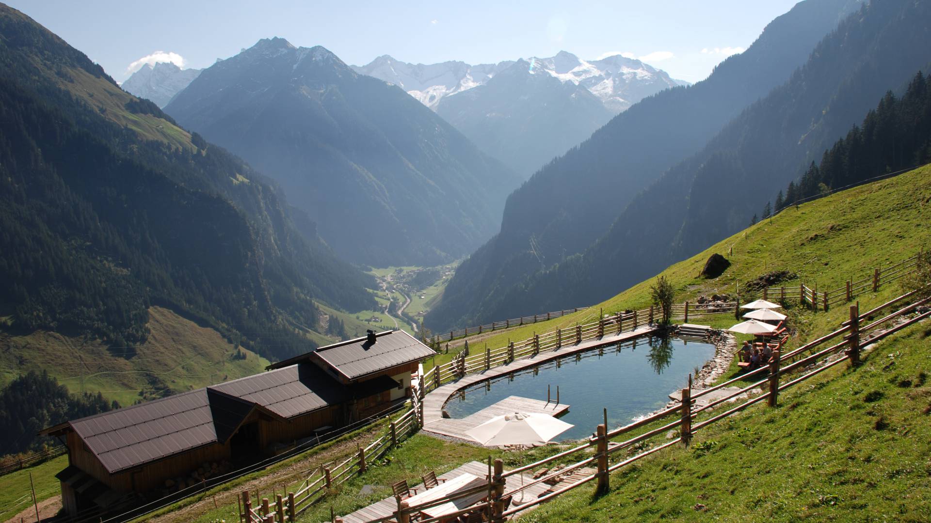 Grasbergalm Finkenberg Zillertal